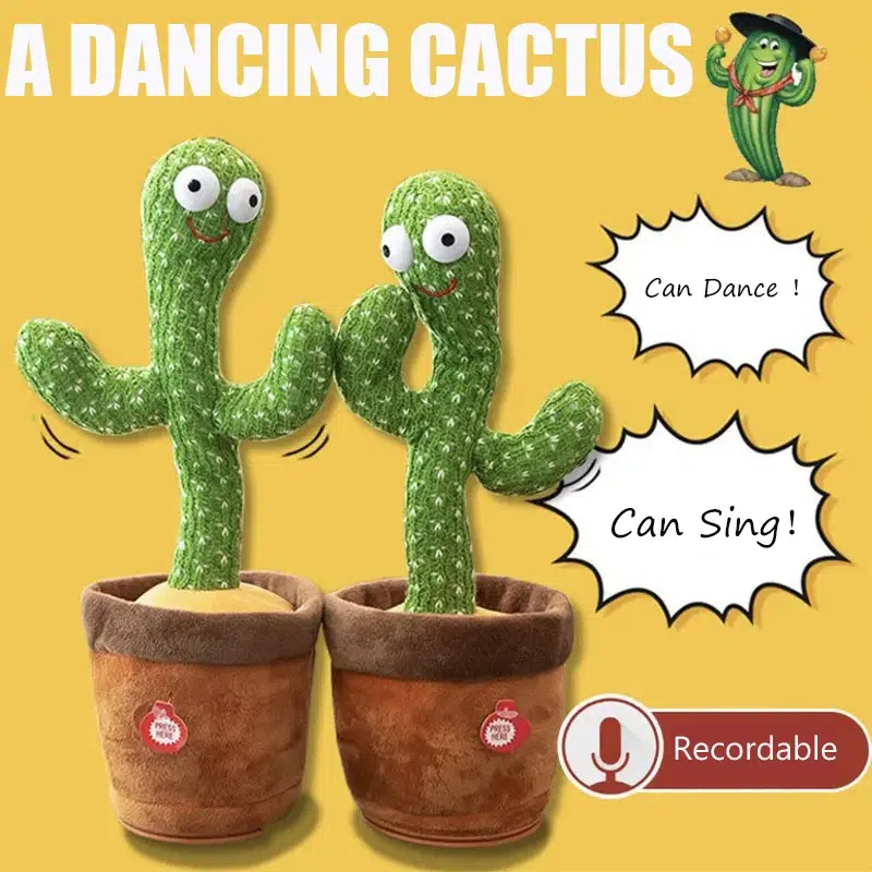 Cactus Dansant Cactus Dansant – Image 2